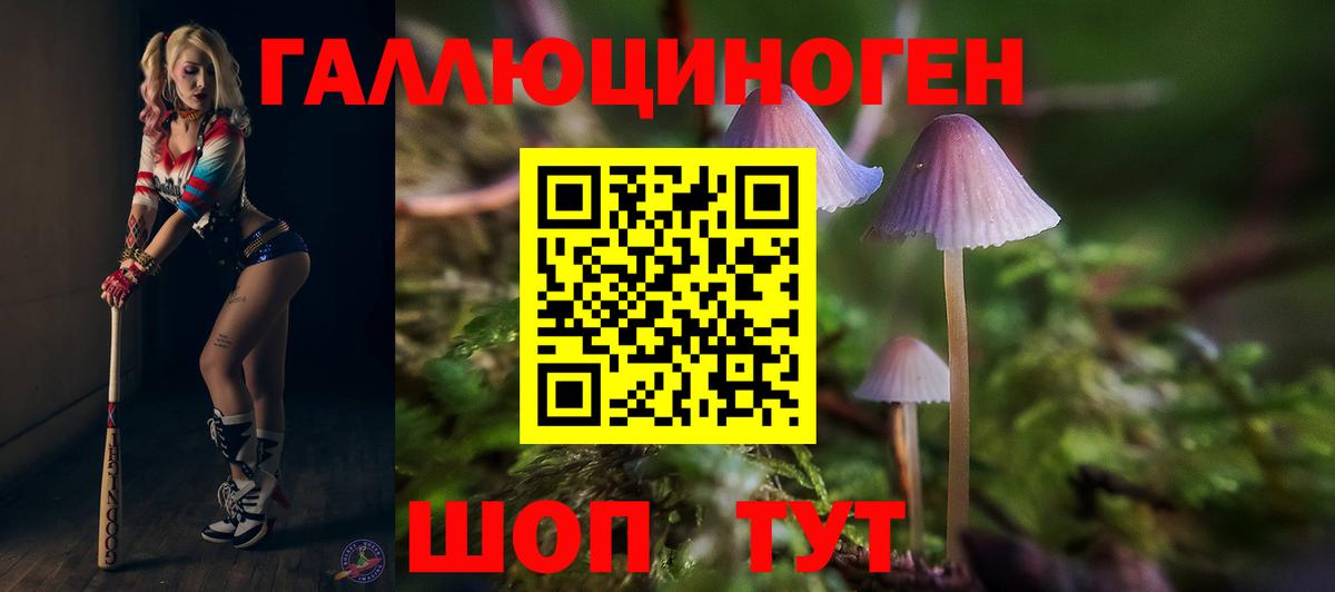 купить наркотик  Вход с VPN  Мытищи  Псилоцибиновые грибы Cubensis 